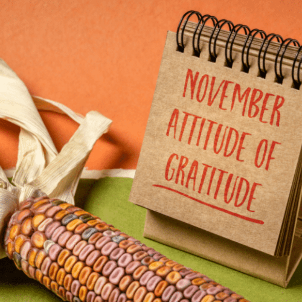 Happy Thanksgiving: Attitude of Gratitude